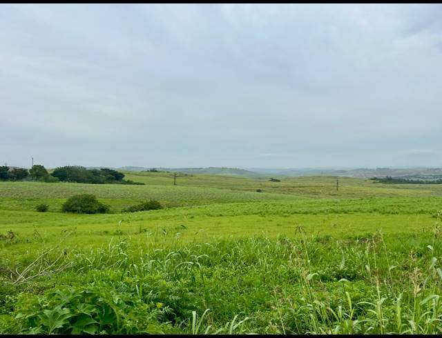 3,343M² VACANT LAND FOR SALE IN UMHLALI